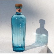 SAXZI Premium Dry Gin