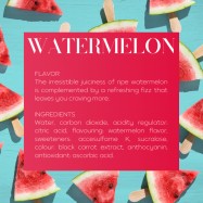 1767 Watermelon Soda, 250 ml